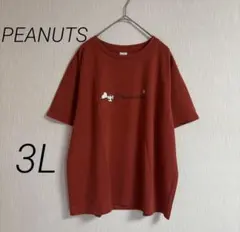 きてい様 リクエスト 3点 まとめ商品