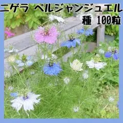 ちぇりお様 リクエスト 2点 まとめ商品