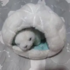 しろくまぬいぐるみ