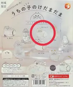 うちの子のけだまだま第二弾 シャムトラ　②