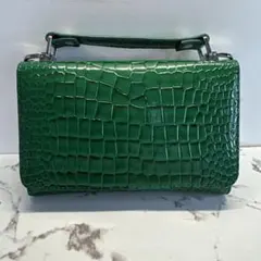 新品　Andrea 2way ショルダー　財布　バッグ　緑　クロコダイル柄のサムネイル