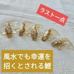 内緒割【金×白】クリスタル 鯉 5個セット オルゴナイト 金運 財運 金色