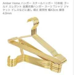 Amber Home スチールハンガー 25本組 ゴールド