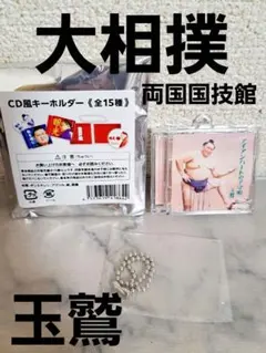大相撲 玉鷲 CD風キーホルダー 両国国技館