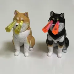目からBeam☆ 犬コンプセット カプセルトイ ガチャガチャ
