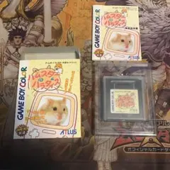 ハムスターパラダイス　GB ソフト