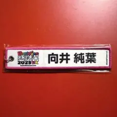 純葉おじさん様 リクエスト 2点 まとめ商品