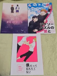 ハイキュー 同人誌 影日 ⑨