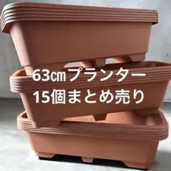 プランター 大型 プラスチック 63㎝ 長方形 15個 花壇 家庭菜園 植木鉢のサムネイル