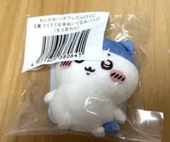 ちいかわ ハチワレだらけくじ E賞 てくてく全身ぬいぐるみバッジ (生え変わり)