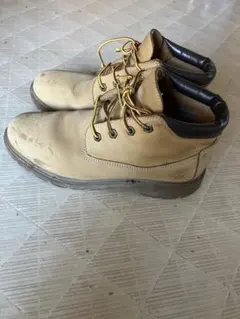 Item thumbnail for item bcf849b5-a2e4-41b9-a05c-ec22f0fb728f