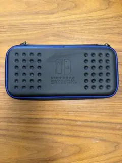 Nintendo switch 備品(ケースとSDカード)