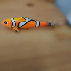 Item thumbnail for item 7ca2bea3-d5ae-4742-89e9-43cb8303e356