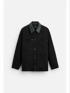 Item thumbnail for item ee21f35e-14bf-4397-a801-d8fd1316a0d9