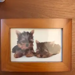 木製フォトフレーム 犬の写真付き