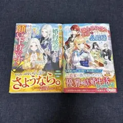 小説2冊セット