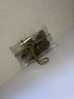 小動物用 チモシー.牧草クッキー(お試し用)初回限定割引ありのサムネイル
