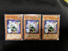 遊戯王　パペット・プラント3枚セット