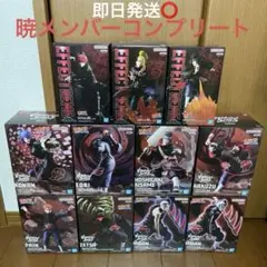 ナルト疾風伝 ー暁ー 11種 コンプリートセット - メルカリ