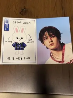 Stray Kids KARMA SKZOO プロフィールカード