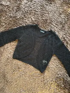 Item thumbnail for item 0411ef53-3d84-4311-a179-5249ffe14b1c