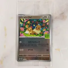 2026年最新】イーブイ プロモ カラフルキャッチの人気アイテム - メルカリ