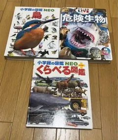 図鑑 5冊セット