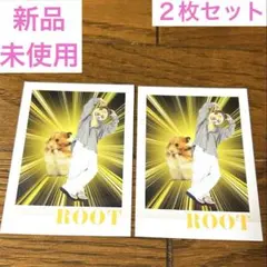 すとぷり　生写真カード　チェキ　ブロマイド　コロコロ　るぅと　２枚