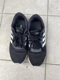 Item thumbnail for item dbb91c9d-394d-4cbc-8b9e-18c1dd8c5cae