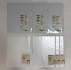 Item thumbnail for item 0861d74c-c603-4482-9c66-382c36e7af30