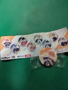 日向翔陽 缶バッジ 　くら寿司　ハイキュー