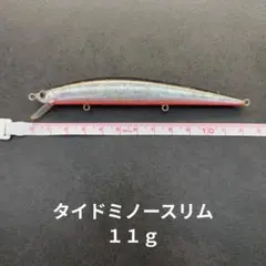 タイドミノー　スリムのサムネイル