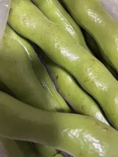 なおちゃん様専用です。新鮮野菜詰め合わせです。