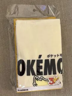 ポケモン　スリコ　スリーコインズ　ブイズ　フェイスタオル