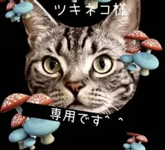 ツキネコ様　専用