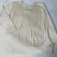 Item thumbnail for item 2d0be586-7d05-440b-87a2-967c04f5a82d