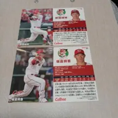 カルビー プロ野球カード 76年 広島球場 2枚セット カルビープロ野球カード1976年版 広島東洋カープ 金城基泰投手2枚