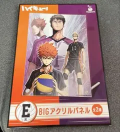 ハイキュー Happyくじ E賞 BIGアクリルパネル 烏野 白鳥沢