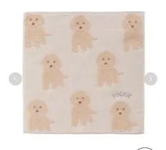 2026年最新】ジェラートピケ ブランケット トイプードルの人気アイテム