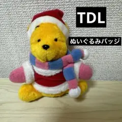 TDL ディズニーランド　プーさん　マスコット　クリスマス　ぬいぐるみバッジ