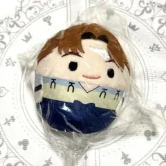 【未開封】ふわコロりん ふわコロ 山田利吉