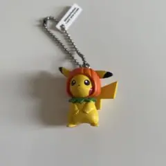 ピカチュウ　ハロウィン　かぼちゃ