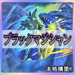 遊戯王 ブラックマジシャン デッキ 本格構築 メイン40枚＋EX15枚
