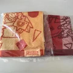 ポケモントレーナーズ　ゲストタオル　ダンデ＆キバナ　2枚セットのサムネイル