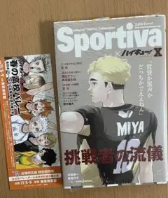 ハイキュー ショーセツバン 宮侑 チケット風しおり 特典付き