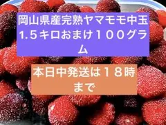 岡山県産完熟ヤマモモ中玉1.5キロおまけ100グラム - メルカリ