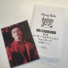 StrayKids スキズ 映画 dominATE 入場特典 トレカ スンミン - メルカリ