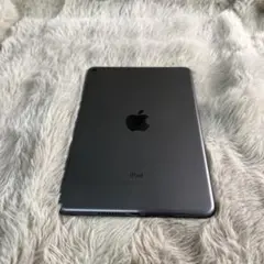 iPad mini (第５世代) Wi-Fi スペースグレイ