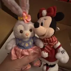 ミニー　ステラルー　ぬいぐるみバッジセット
