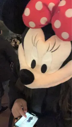 ディズニー ミニーちゃん被り物 リボンのバッグ